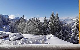 T2 Edelweiss chamrousse 1750 acces piste direct local ski alpes montagne
